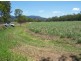 Lot 2 Wagoora-Yalboroo Road, Yalboroo QLD 4741