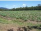 Lot 2 Wagoora-Yalboroo Road, Yalboroo QLD 4741