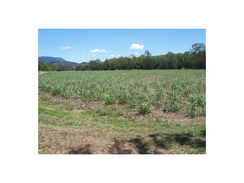 Lot 2 Wagoora-Yalboroo Road, Yalboroo QLD 4741