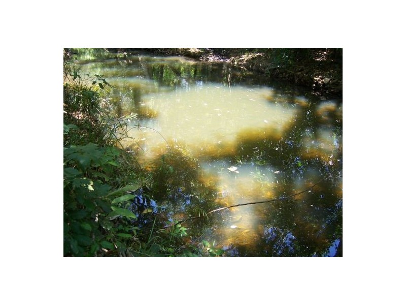 Lot 2 Wagoora-Yalboroo Road, Yalboroo QLD 4741