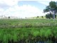 Lot 12 Leichhardt Road, Mirani QLD 4754