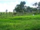 Lot 12 Leichhardt Road, Mirani QLD 4754