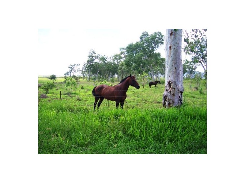Lot 12 Leichhardt Road, Mirani QLD 4754