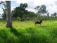 Lot 12 Leichhardt Road, Mirani QLD 4754