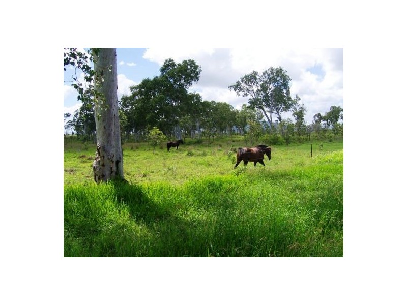 Lot 12 Leichhardt Road, Mirani QLD 4754