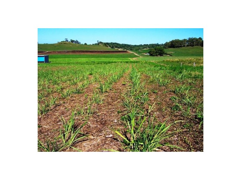 Lot 1 Le Gardes Road, Habana QLD 4740