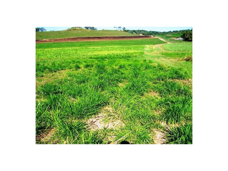 Lot 1 Le Gardes Road, Habana QLD 4740