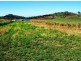 Lot 1 Le Gardes Road, Habana QLD 4740
