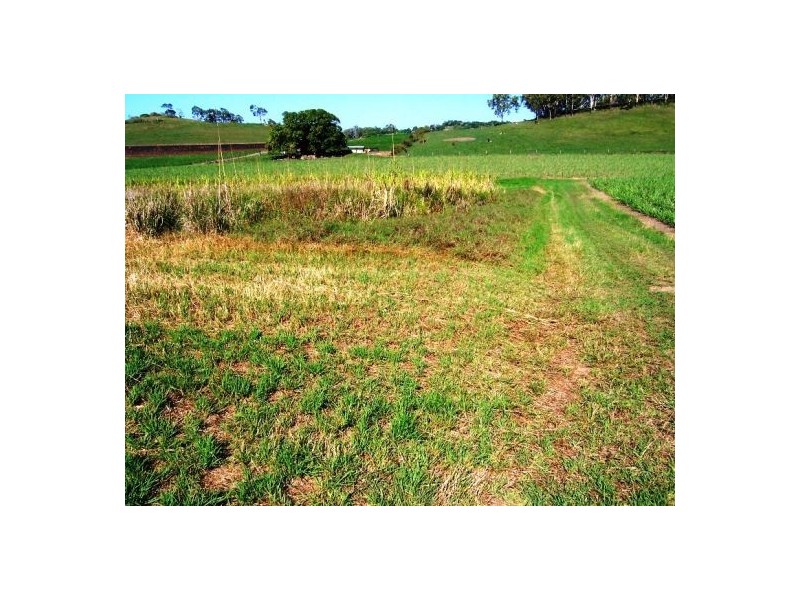 Lot 1 Le Gardes Road, Habana QLD 4740