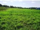 Lot 1 Le Gardes Road, Habana QLD 4740