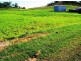 Lot 1 Le Gardes Road, Habana QLD 4740