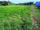 Lot 1 Le Gardes Road, Habana QLD 4740