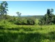 401 Gormleys Road, Seaforth QLD 4741