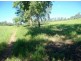 401 Gormleys Road, Seaforth QLD 4741