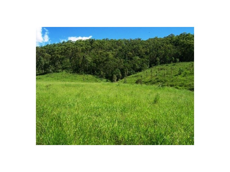 401 Gormleys Road, Seaforth QLD 4741