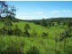 401 Gormleys Road, Seaforth QLD 4741