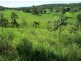 401 Gormleys Road, Seaforth QLD 4741