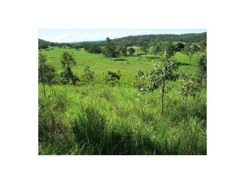 401 Gormleys Road, Seaforth QLD 4741