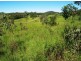 401 Gormleys Road, Seaforth QLD 4741