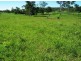 401 Gormleys Road, Seaforth QLD 4741