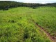 401 Gormleys Road, Seaforth QLD 4741