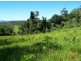 401 Gormleys Road, Seaforth QLD 4741