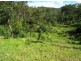 401 Gormleys Road, Seaforth QLD 4741