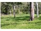 401 Gormleys Road, Seaforth QLD 4741