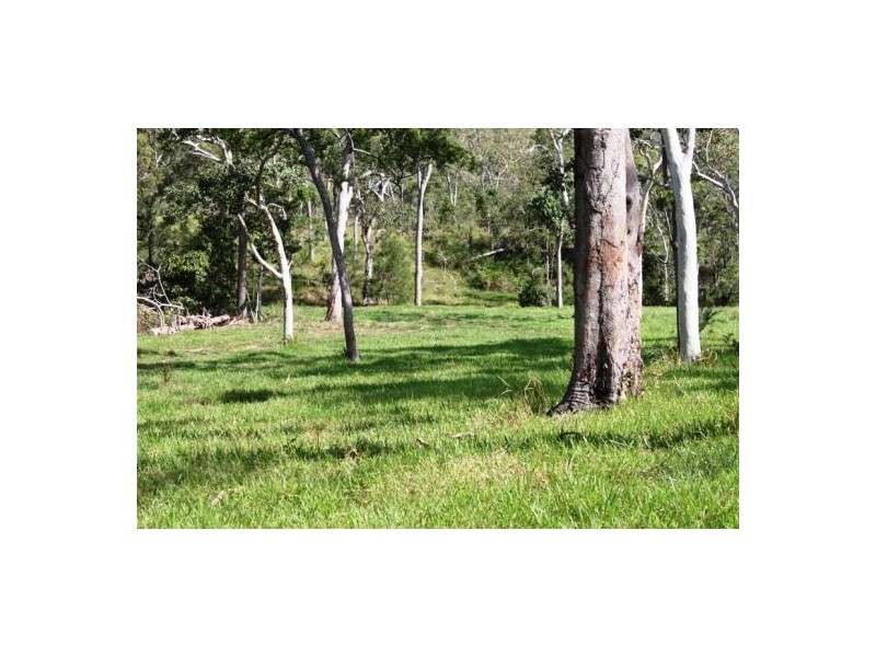 401 Gormleys Road, Seaforth QLD 4741