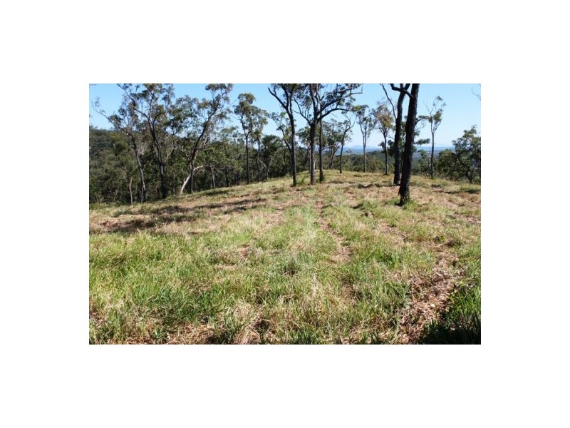 401 Gormleys Road, Seaforth QLD 4741