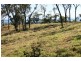 401 Gormleys Road, Seaforth QLD 4741