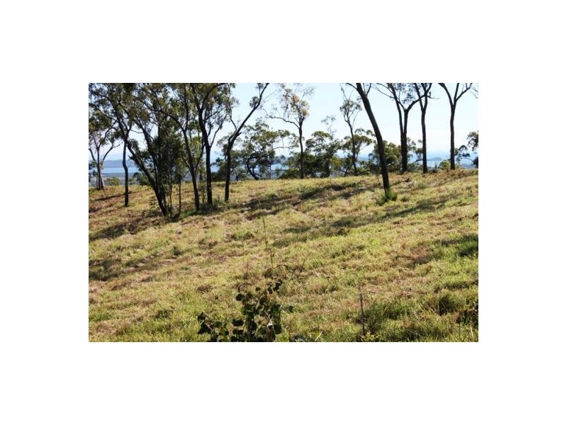 401 Gormleys Road, Seaforth QLD 4741