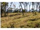 401 Gormleys Road, Seaforth QLD 4741