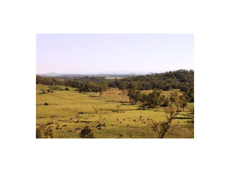 401 Gormleys Road, Seaforth QLD 4741