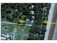 33 Wilson Road, Freshwater Point QLD 4737