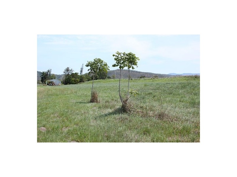 75 Pratts Road, Calen QLD 4798