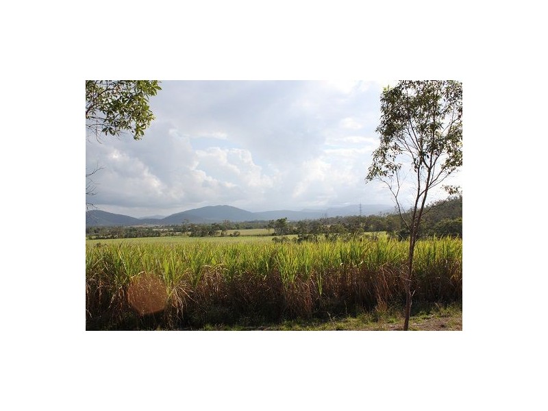Lot 469 Jim McLeans Road, Mount Ossa QLD 4741
