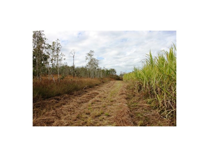 Lot 469 Jim McLeans Road, Mount Ossa QLD 4741