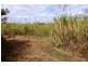 Lot 469 Jim McLeans Road, Mount Ossa QLD 4741
