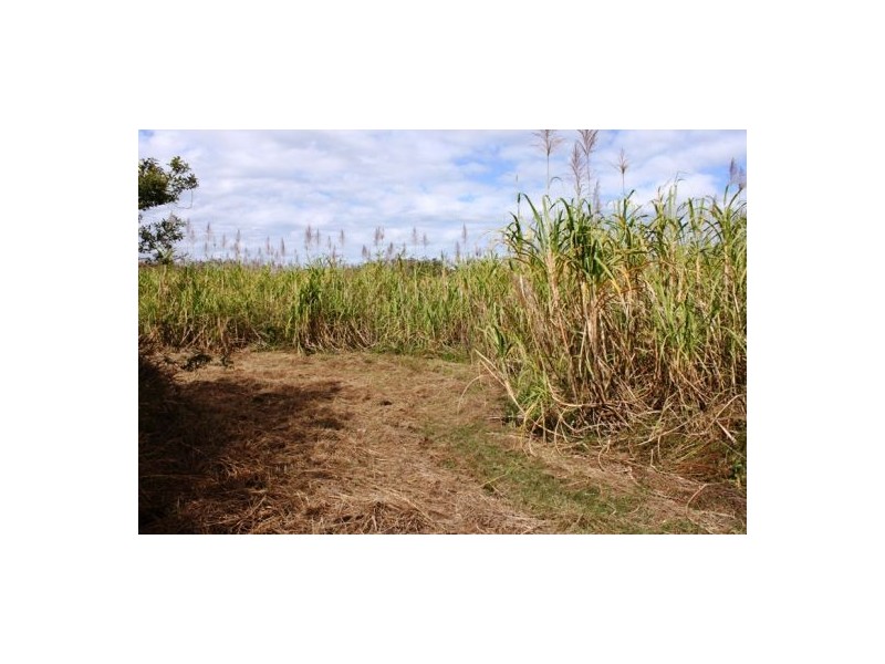 Lot 469 Jim McLeans Road, Mount Ossa QLD 4741