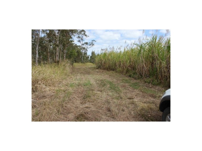 Lot 469 Jim McLeans Road, Mount Ossa QLD 4741
