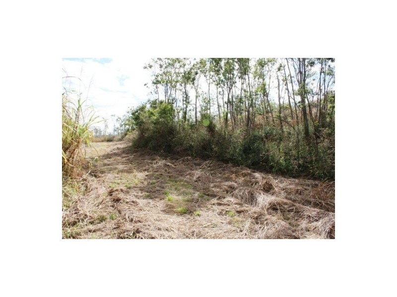 Lot 469 Jim McLeans Road, Mount Ossa QLD 4741