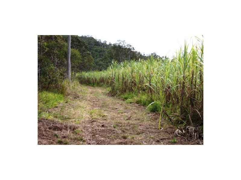 Lot 469 Jim McLeans Road, Mount Ossa QLD 4741