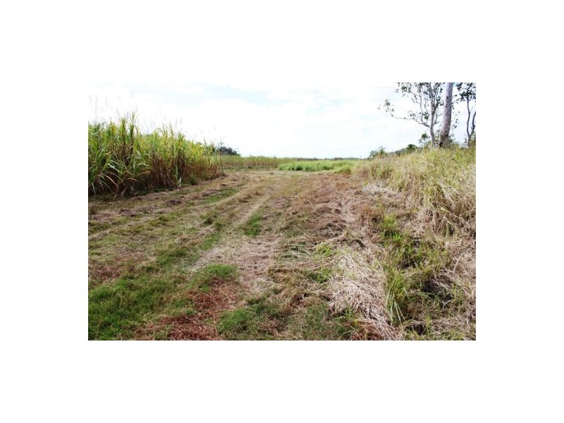 Lot 469 Jim McLeans Road, Mount Ossa QLD 4741