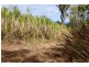 Lot 469 Jim McLeans Road, Mount Ossa QLD 4741
