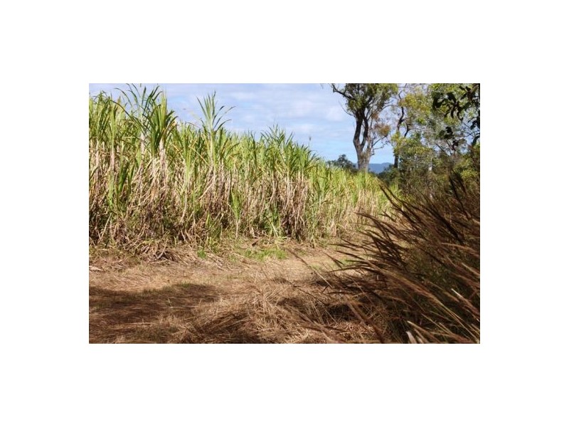 Lot 469 Jim McLeans Road, Mount Ossa QLD 4741