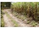 Lot 469 Jim McLeans Road, Mount Ossa QLD 4741