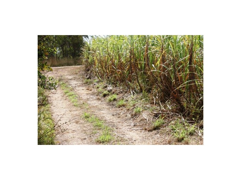 Lot 469 Jim McLeans Road, Mount Ossa QLD 4741