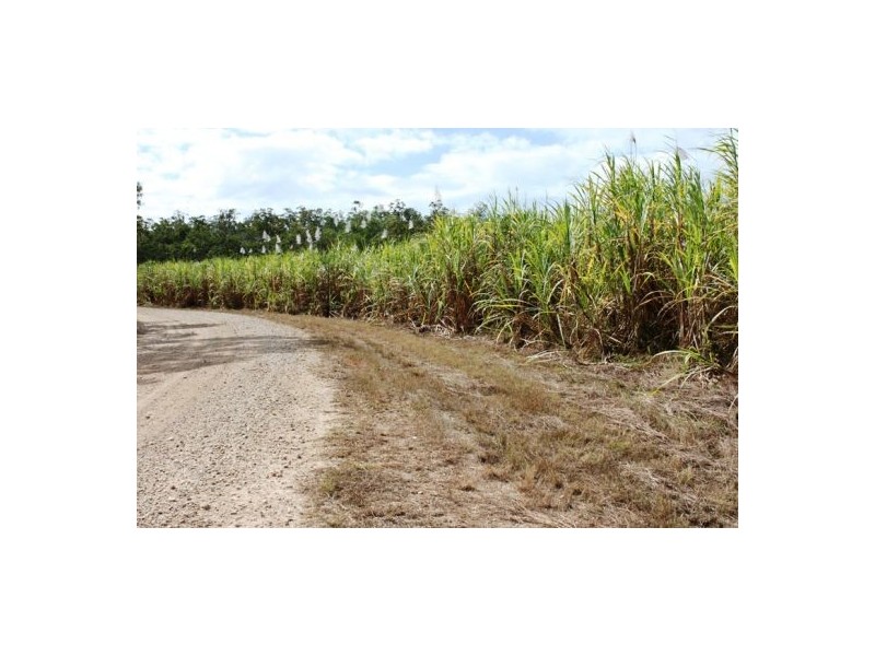 Lot 469 Jim McLeans Road, Mount Ossa QLD 4741