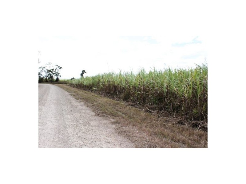 Lot 469 Jim McLeans Road, Mount Ossa QLD 4741